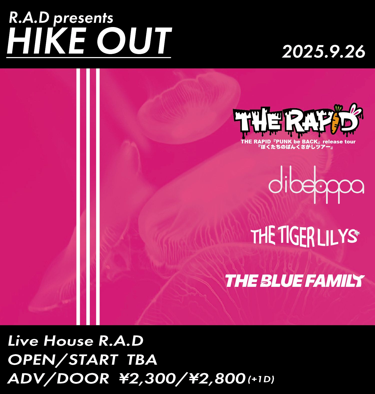 THE RAPID【PUNK be BACK】リリースツアー「ぼくたちのぱんくさがしツアー」