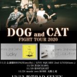 DOG and CAT FIGHT TOUR2020